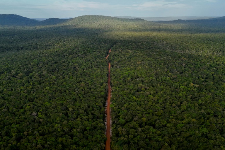 In Guyana, remote dirt road seen as future economic lifeline