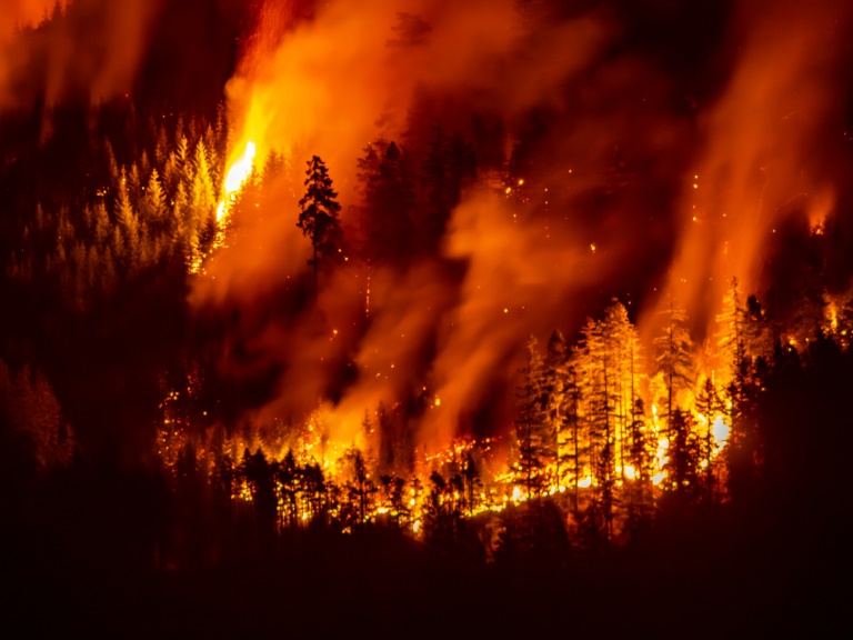 Climate-driven wildfires reversing pollution progress in N. America: study