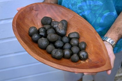 Huge tracts of Pacific Ocean seabed are carpeted in polymetallic nodules, bulbous lumps of rock that are rich in metals used in battery production - William WEST (AFP)