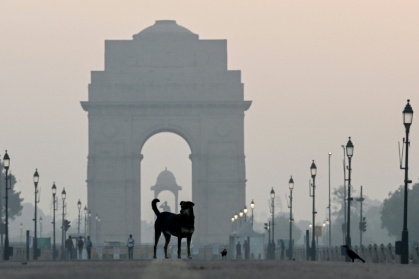 At least 60,000 stray dogs live on the streets of Delhi, according to India's Livestock Census - Arun SANKAR (AFP)
