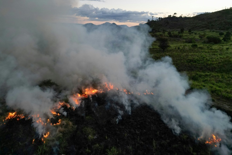 Who is setting fire to the Amazon?
