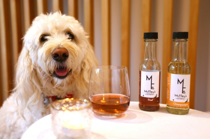 The range of tipples sold by the Wellington-based Muttley's Estate have names like Pawt, Champawgne, Purrno Noir and Sauvignon Bark - BEN STRANG (AFP) The range of tipples sold by the Wellington-based Muttley's Estate have names like Pawt, Champawgne, Purrno Noir and Sauvignon Bark - BEN STRANG (AFP)