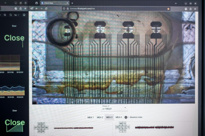 A screen showing the activity of the neurons, which is also displayed on the company's website - Fabrice COFFRINI (AFP) A screen showing the activity of the neurons, which is also displayed on the company's website - Fabrice COFFRINI (AFP)