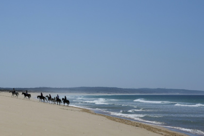 Luxury developments are sprouting up close to the nearly deserted beaches of Comporta in southwestern Portugal - Patricia DE MELO MOREIRA (AFP) Luxury developments are sprouting up close to the nearly deserted beaches of Comporta in southwestern Portugal - Patricia DE MELO MOREIRA (AFP)