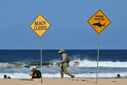 Australia deploys aerial drones, tracking tags and nets to protect beachgoers from sharks - Saeed KHAN (AFP) Australia deploys aerial drones, tracking tags and nets to protect beachgoers from sharks - Saeed KHAN (AFP)