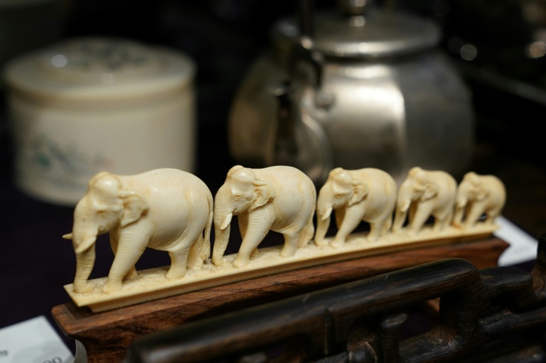 Japanese ivory trade attracts fresh global scrutiny
