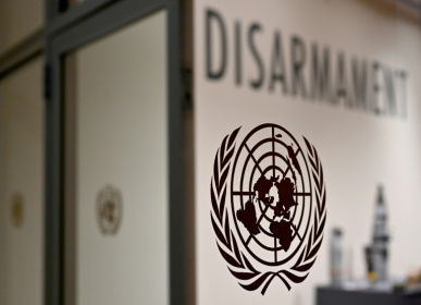 The Review Conference of the Parties to the Treaty on the Non-Proliferation of Nuclear Weapons takes place every four or five years - ANGELA WEISS (AFP)