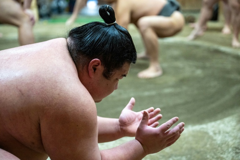 Sumo diplomacy: Japan's heavyweight 'soft power' ambassadors