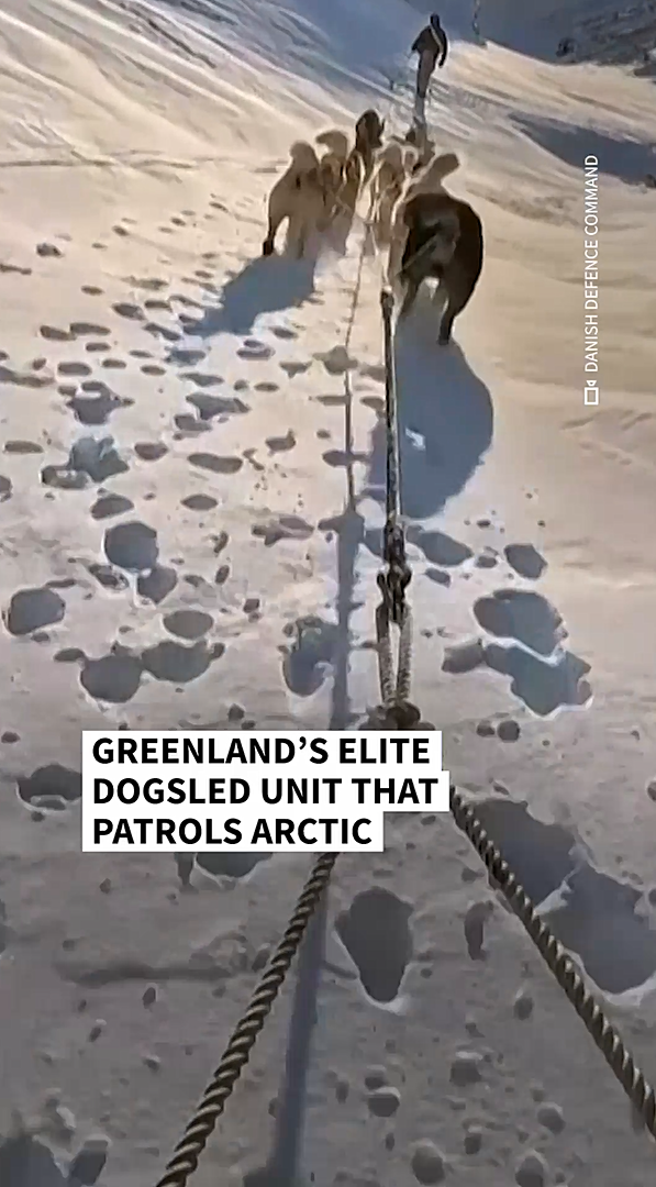 Greenland's elite dogsled unit that patrols desolate, icy Arctic