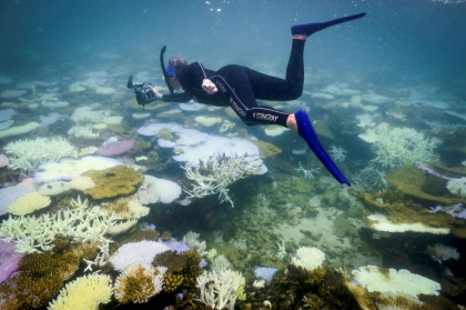 Australia's Great Barrier Reef experienced rising heat stress between 2014 and 2017 - DAVID GRAY (AFP)