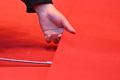Stars will be hitting the red carpet at the 76th Berlinale - RALF HIRSCHBERGER (AFP)