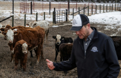 Chris Stem warns that the cost of doing business is almost outpricing his ability to raise cattle in the United States - ANDREW CABALLERO-REYNOLDS (AFP)