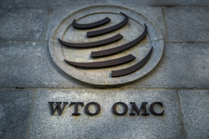 The WTO is trying to reform its way of doing business - Fabrice COFFRINI (AFP)