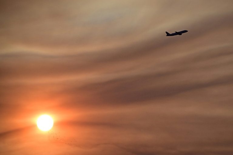 Ticket price hikes not affecting summer air travel demand: IATA