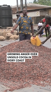 ivory coast cocoa.png