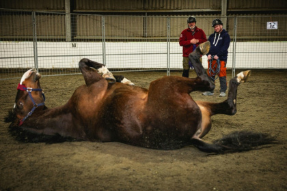 Warrior Equine Chief Instructor Jim Goddard (C) mentors RAF veteran John Lewis (R), who suffered several broken bones in an accident which brought his RAF career to an end - ADRIAN DENNIS (AFP)