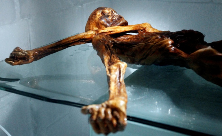 Scientists find yeast in ancient Iceman's guts -- and make bread