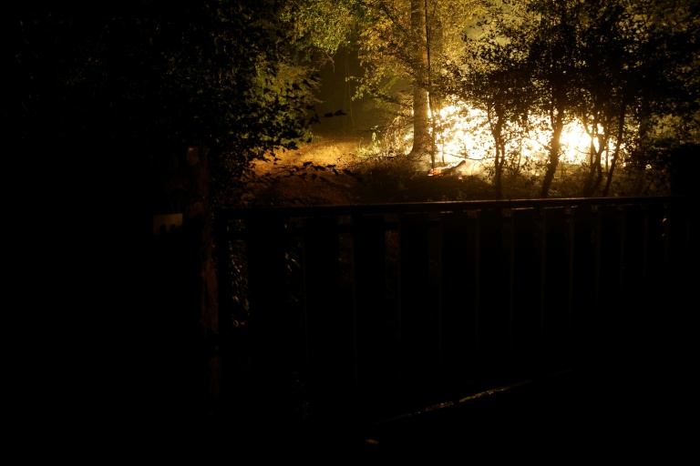 Planes fight fire in Fontainebleau forest near Paris