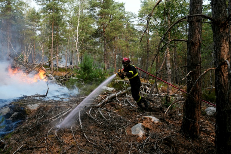 Wildfires that ravaged historic forest outside Paris contained