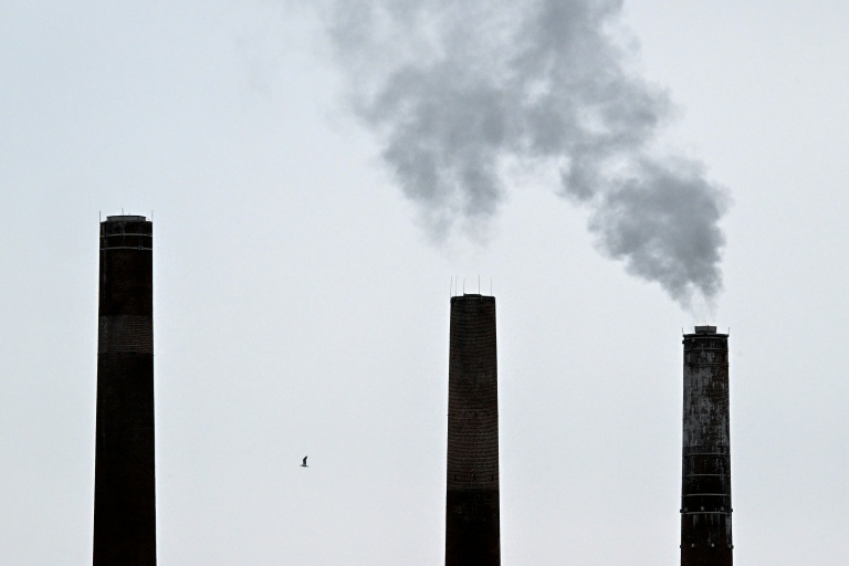 EU reforms carbon market under pressure from industry