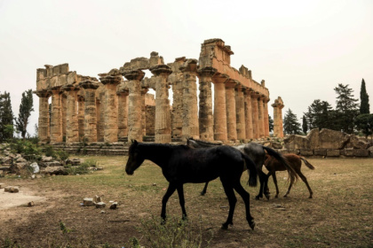 The archaeological site of Cyrene was the target of looting by jihadists when the country descended into chaos following the fall of Muammar Gaddafi in 2011 - Abdullah DOMA (AFP)