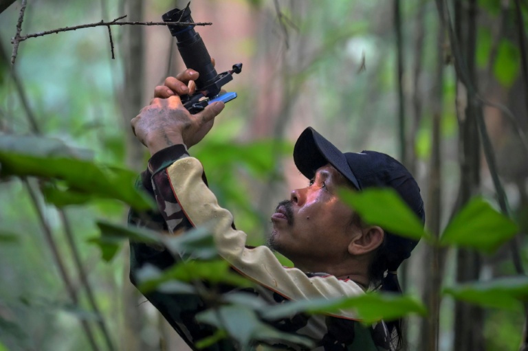 Indonesia cash-for-photos scheme turns animal hunters into protectors