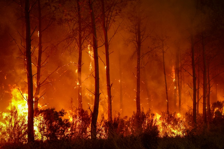 Southern Europe 'becoming more flammable' in hotter climate, experts say