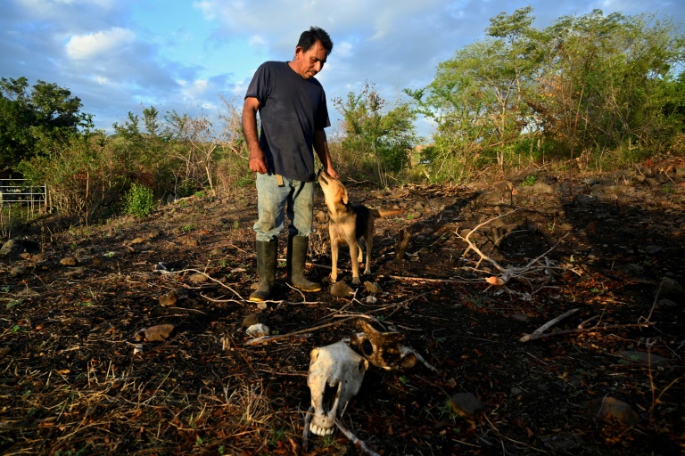 El Nino weather pattern enters record territory: scientist
